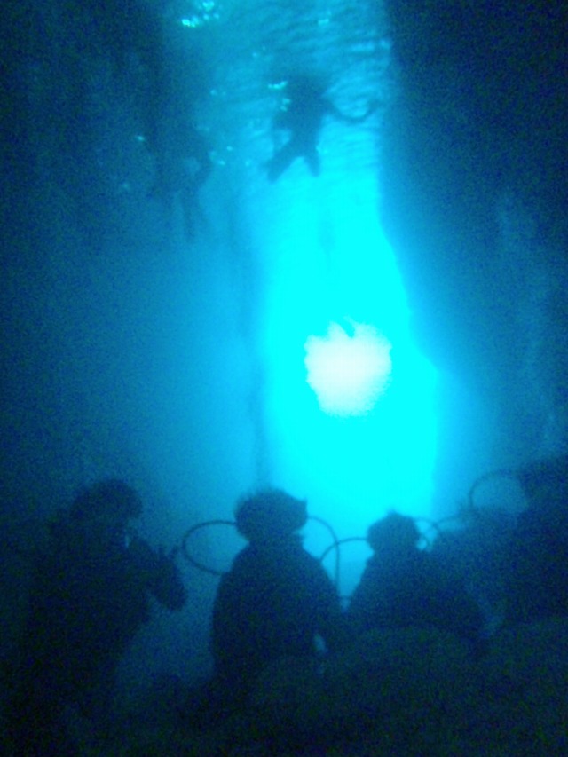 青の洞窟 体験ダイビング＋熱帯魚餌付け